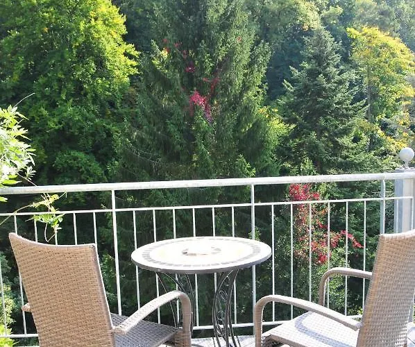 Appartement Stadt- Naturnah, Traumblick Und Balkon Baden-Baden